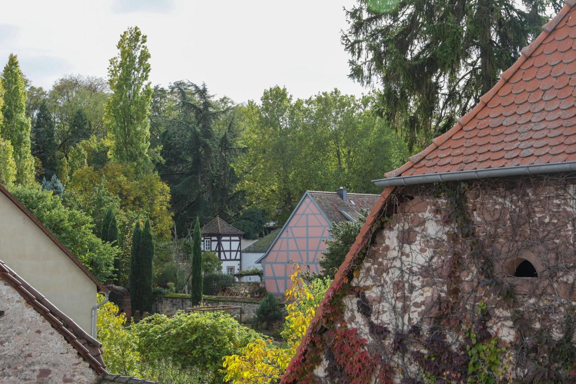 Boutique-Hotel Im Sternenhof Grosskarlbach Εξωτερικό φωτογραφία